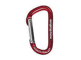 Accessory carabiners