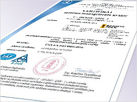 Integrated Management System