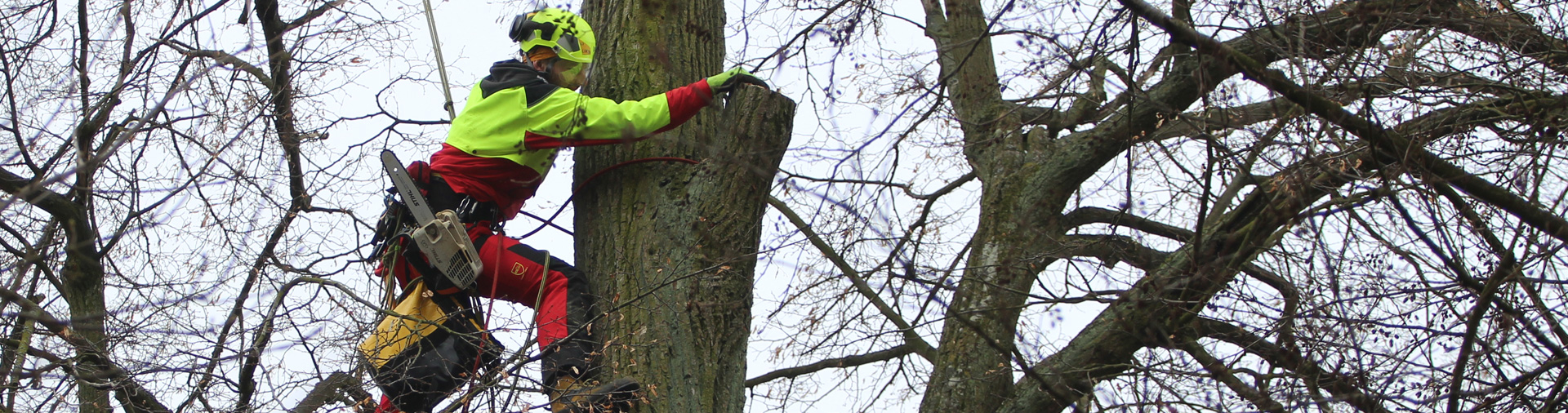 Accessory ropes and cords